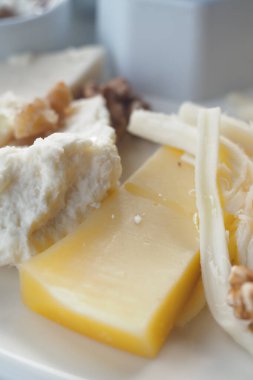 Beyaz bir tabakta farklı peynir blokları ve fındıklar sergileniyor..