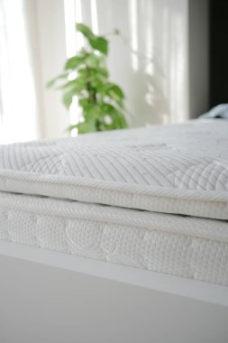 Aydınlık bir odada, bir yatağın üzerinde bir bitki oturuyor..