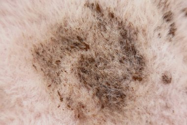 Bir kumaştaki lekenin yakın plan görüntüsü .