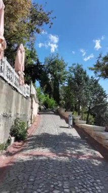 Cobblestone path leads up to trees and clear blue sky with some shade.