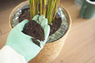 Bir sepetin içine saksı yerleştirirken insan toprağı tutar.