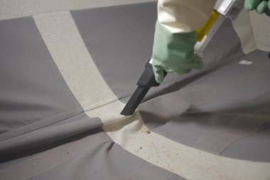 Bir insan oturma odasındaki kanepeyi temizlemek için elektrikli süpürge kullanır..