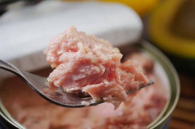 Yemek hazırlamak için konserve kutusundan alınan bir çatal ton balığı tutar..