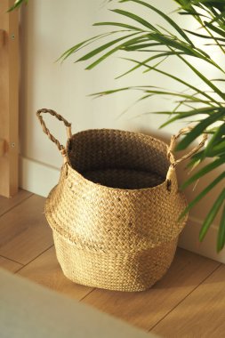 Odada yeşil bir bitkinin yanına bir sepet yerleştirilir..