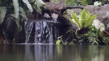 Su, yeşil bitkilerle çevrili kayalardan aşağı dökülür..