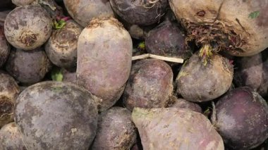 Pancarlar yerel bir çiftlikte yerden toplanır. İşçiler seçer ve sınıflandırır.