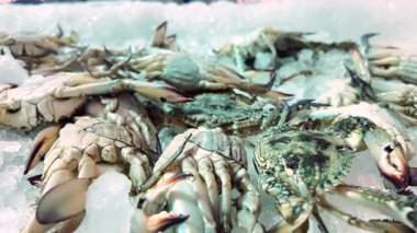 Yengeçler sabahın erken saatlerinde yerel bir markette buzda otururlar..