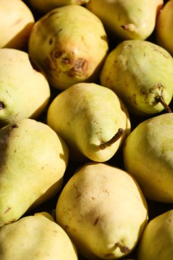 Bir pazarda büyük bir olgun armut grubu satışa sunuluyor..