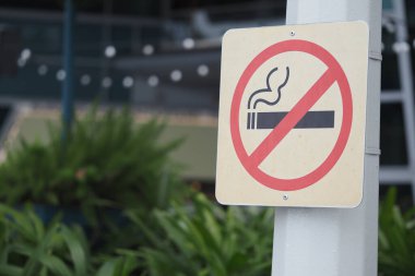 İşaret, halka açık bir alanda yeşil alanlarda sigara içilmeyeceğini gösterir..