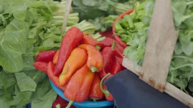 Pazarda parlak biberler ve yapraklı yeşiller sergileniyor.