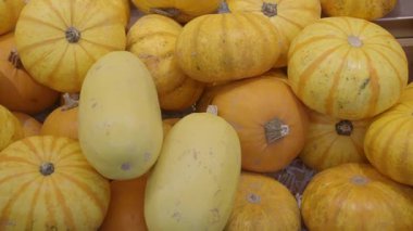 Birçok balkabağı sonbahar boyunca pazarda sergilenir..