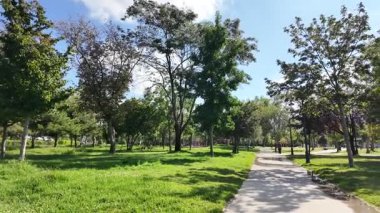 İnsanlar yeşil bir parkta yürür. Her yerde ağaçlar var..