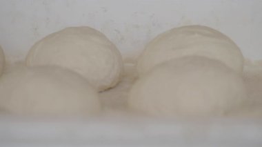 Mutfakta sıcak bir yerde dört top hamur yükseliyor..