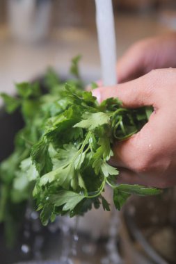 Bir insan mutfaktaki akan suyun altında taze otları yıkıyor..