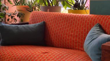 Yastıklı renkli bir kanepe çeşitli bitkilerin arasında parlak bir yerde duruyor..