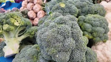İnsanlar taze brokoliyi günün erken saatlerinde diğer sebzeler arasından seçer..