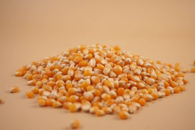 İçerideki düz bir yüzey üzerinde büyük bir mısır çekirdeği yığını var..