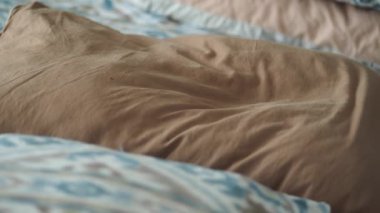 Yastıklar günün erken saatlerinde rahat bir yatak odasında dinlenir..