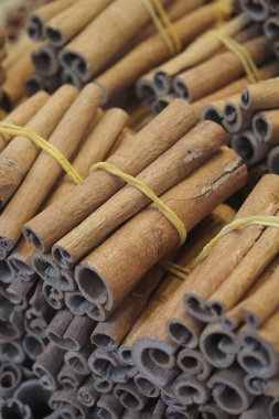Tarçın çubukları bir araya toplanır ve satılmak üzere sıraya dizilir..
