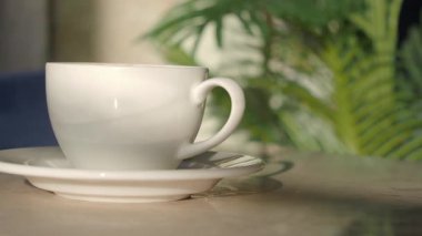 Kahve fincanı, kafedeki bitkinin yanındaki masada..