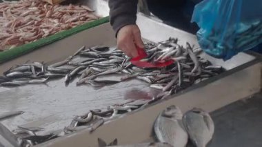 Bir insan markette balık seçerken diğer deniz ürünleri mevcuttur..