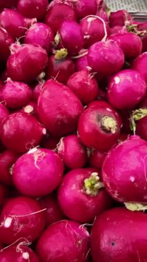 Turplar baharda bir pazarda satılığa çıkarılır..