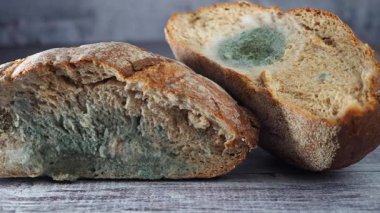 Ekmek, içinde yeşilimsi bir yama olan küf büyümesini gösteriyor..