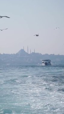 Hindi İstanbul 22 Temmuz 2025. Kuşlar bir teknenin etrafında uçuyor. Şehrin yakınındaki sularda geziyorlar..