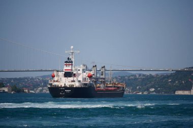 Gündüz vakti İstanbul Körfezi 'ndeki bir köprünün altından sorunsuzca geçen bir kargo gemisi.