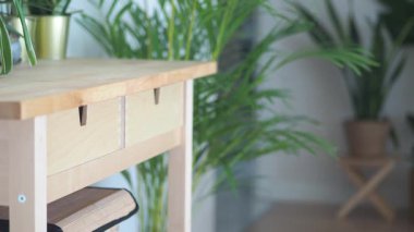 Bitkiler bir odadaki ahşap bir masanın etrafına yerleştirilir..