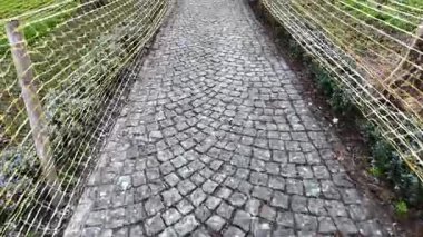 Tel örgülü bir bahçenin içinden geçen taş bir patika..