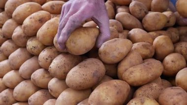 Bir satıcı markette taze patates satar. Birçok müşteri yakınlarda gezinir.