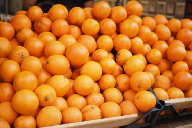 Güneş ışığı altında büyük bir portakal sergisi bir pazar standını doldurur..