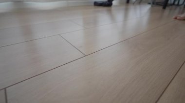 Süpürge Temizleyici Baş Hafif Ahşap Döşemeli Temizleme.