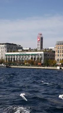 Hindi İstanbul 28 Temmuz 2025. İstanbul Şehri ile Boğaz 'ın Üzerinde Uçan Martılar.