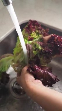 Ellerin mutfak lavabosundaki musluğun altında yeşil marulu yıkıyor..