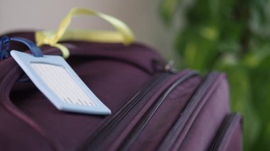 Üzerinde etiket olan bir çanta otel odasındaki bir bitkinin yanında duruyor..