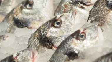 Günün erken saatlerinde bir markette balıklar buzda sergilenir..