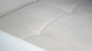 Bir insan oturma odasında kumaş bir kanepe temizler..