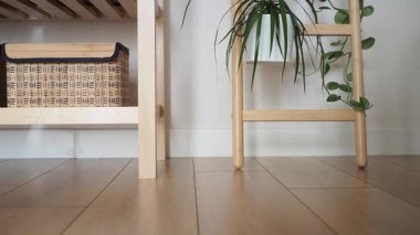 Ahşap Raflı Ev Dekoru, Dokuma Kutuları ve Saksı Bitkileri.