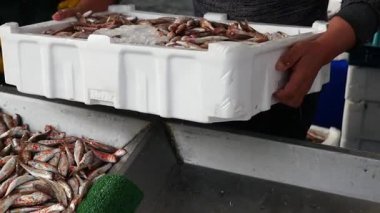 Bir adam markette içi balık dolu beyaz bir kutu tutuyor..