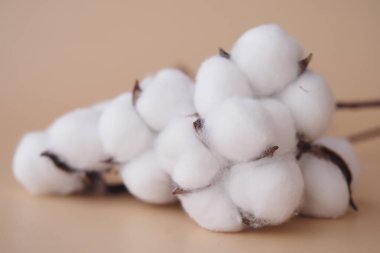 Pamuk vidaları yakın çekimde pürüzsüz bir yüzeyde duruyor..