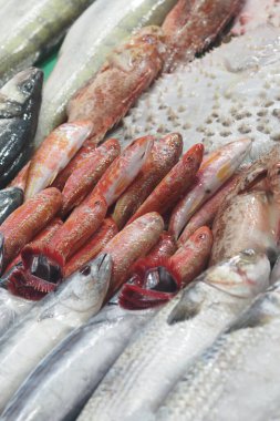Different types of fish are arranged on a market stall for sale.