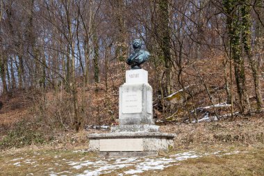 Klasik besteci Wolfgang Amadeus Mozart 'ın bir heykeli, Avusturya' nın Salzburg kentindeki bir tepe olan Kapuzinerberg 'de bulunmaktadır. Mozart 1756 'da Salzburg' da doğdu..