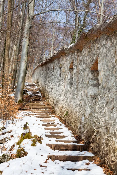 Caminho Coberto Neve Uma Trilha Coberta Neve Lado Das Muralhas — Fotografia de Stock