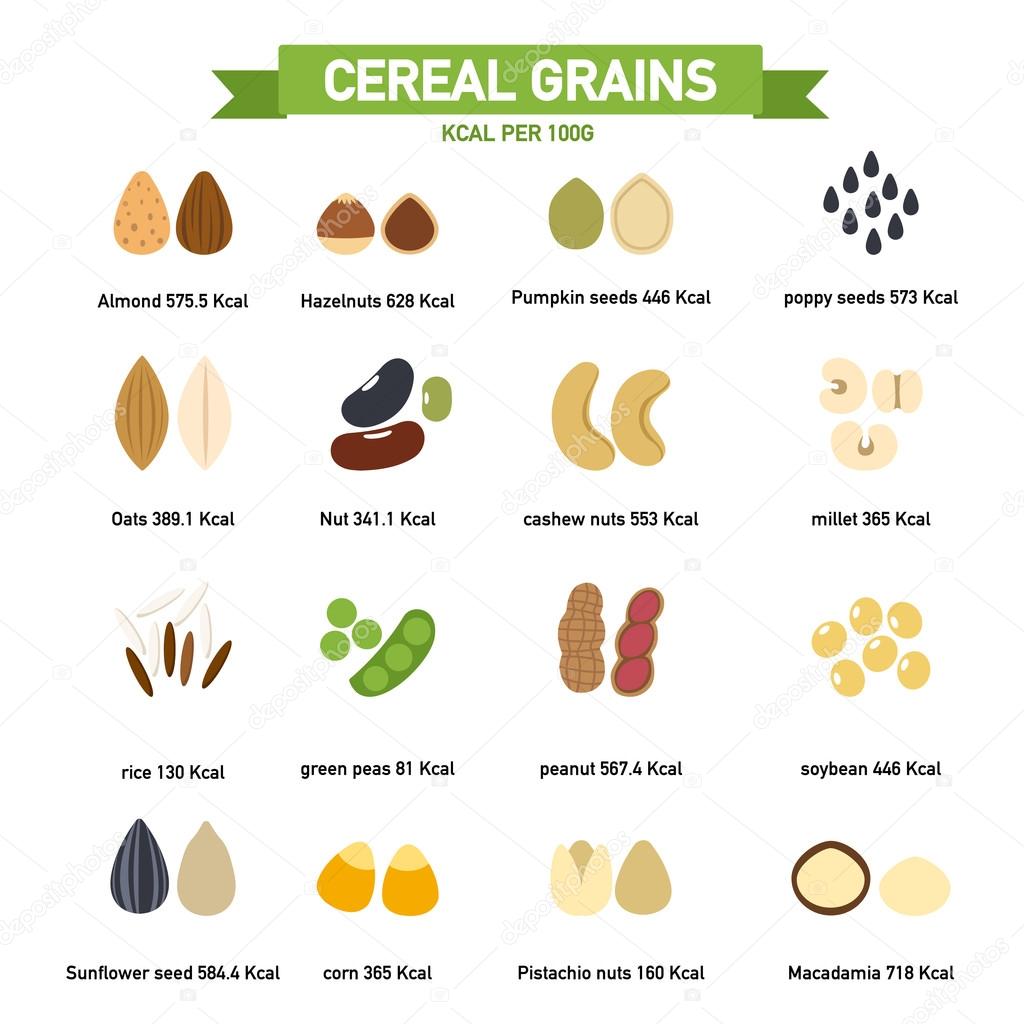 Kilocalorie in cereal grains per100 gram infographics.vector — Stock