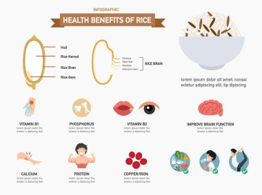 Pirinç infographics.vector sağlık yararları