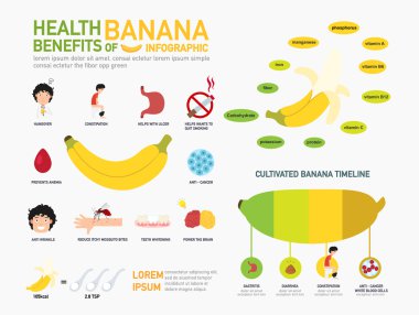 Muz infographics.vector sağlık yararları