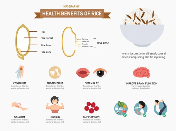 Benefici per la salute del riso infographics.vector — Vettoriale Stock