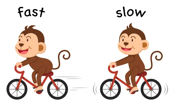 Opposite words fast and slow vector Stock Illustration